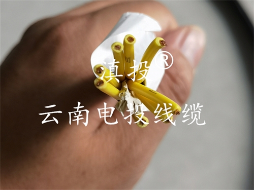 铜小线YJV 5*6