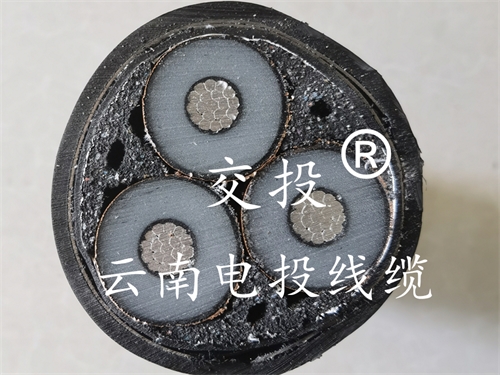 昆明铜芯电缆厂解说高压电力电缆生产的过程