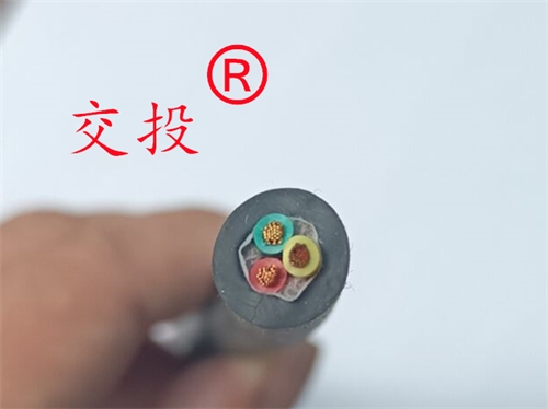 橡套电缆YZ 2X4