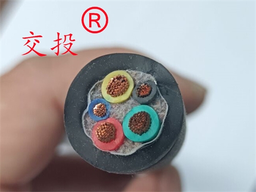 橡套电缆YZ 2X6