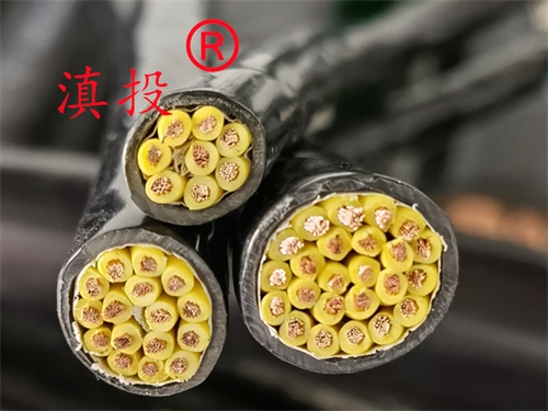 计算机电缆DJYPVP