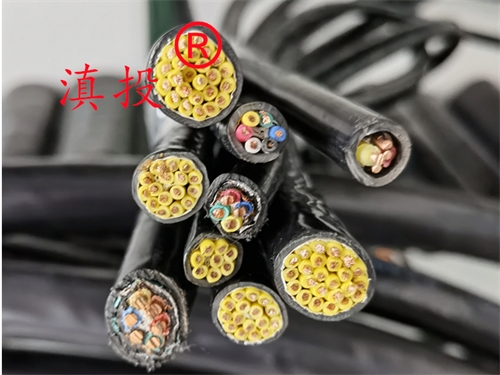 计算机电缆ZRDJYPVPR