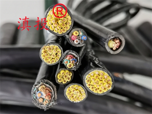 计算机电缆ZRDJYPVPR
