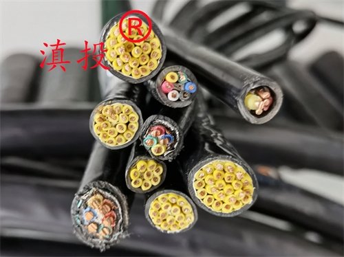 计算机电缆 ZRDJYPVPR