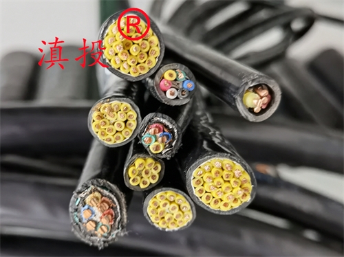 计算机电缆 ZRDJYPVPR