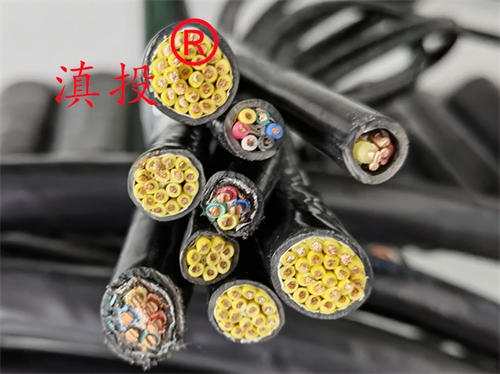 计算机电缆ZRDJYPVPR